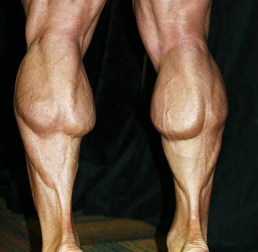 yam leg