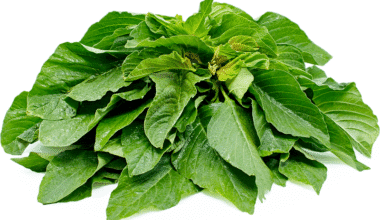 Yoruba Name for Spinach