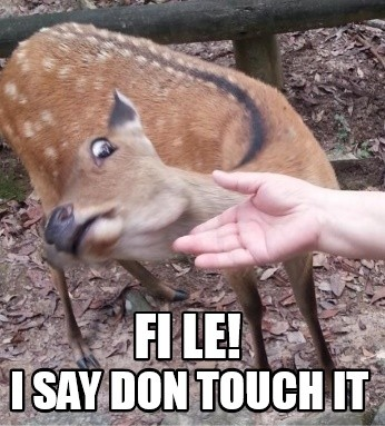 Nigerian Music Slangs