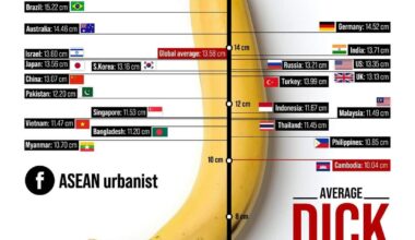what is the average manhood size